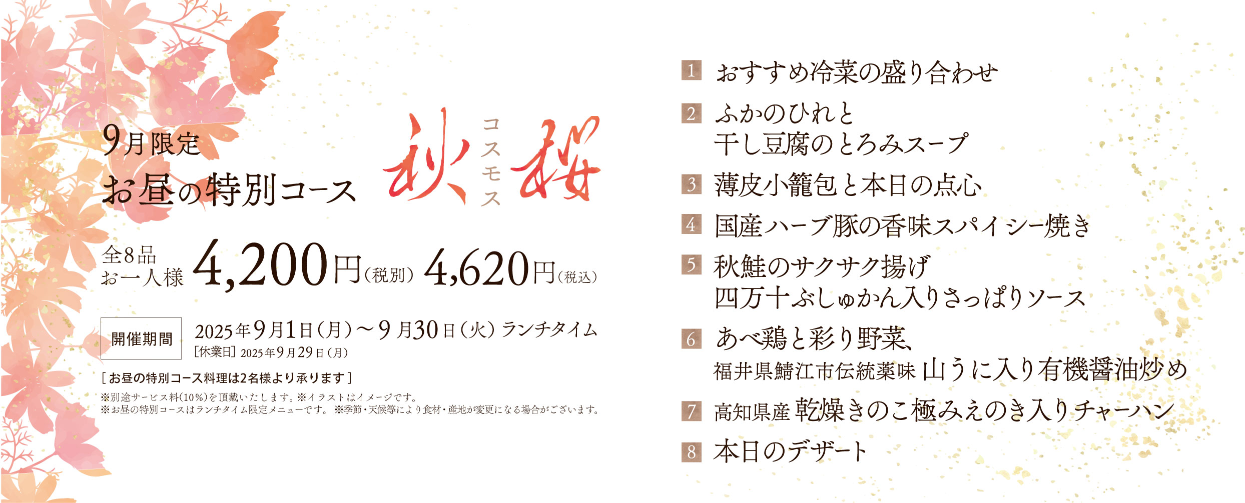 9月限定お昼の特別コース