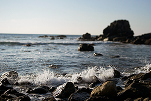 青森・岩手の海